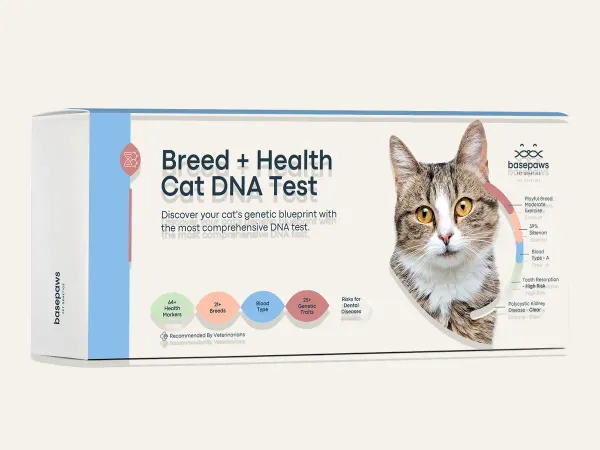 Basepaws Breed + Health Cat DNA Test