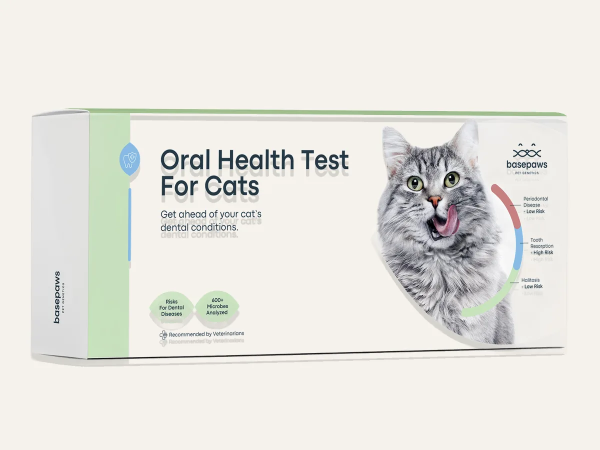 Basepaws Oral Health Test for Cats