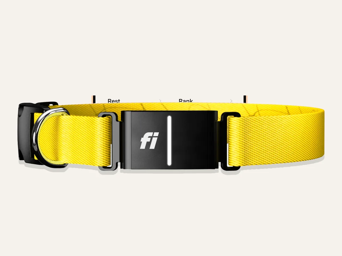 Fi Series 3+