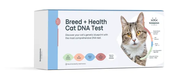 Image: Basepaws (Zoetis) Basepaws Breed + Health Cat DNA Test, photo 2 of 3