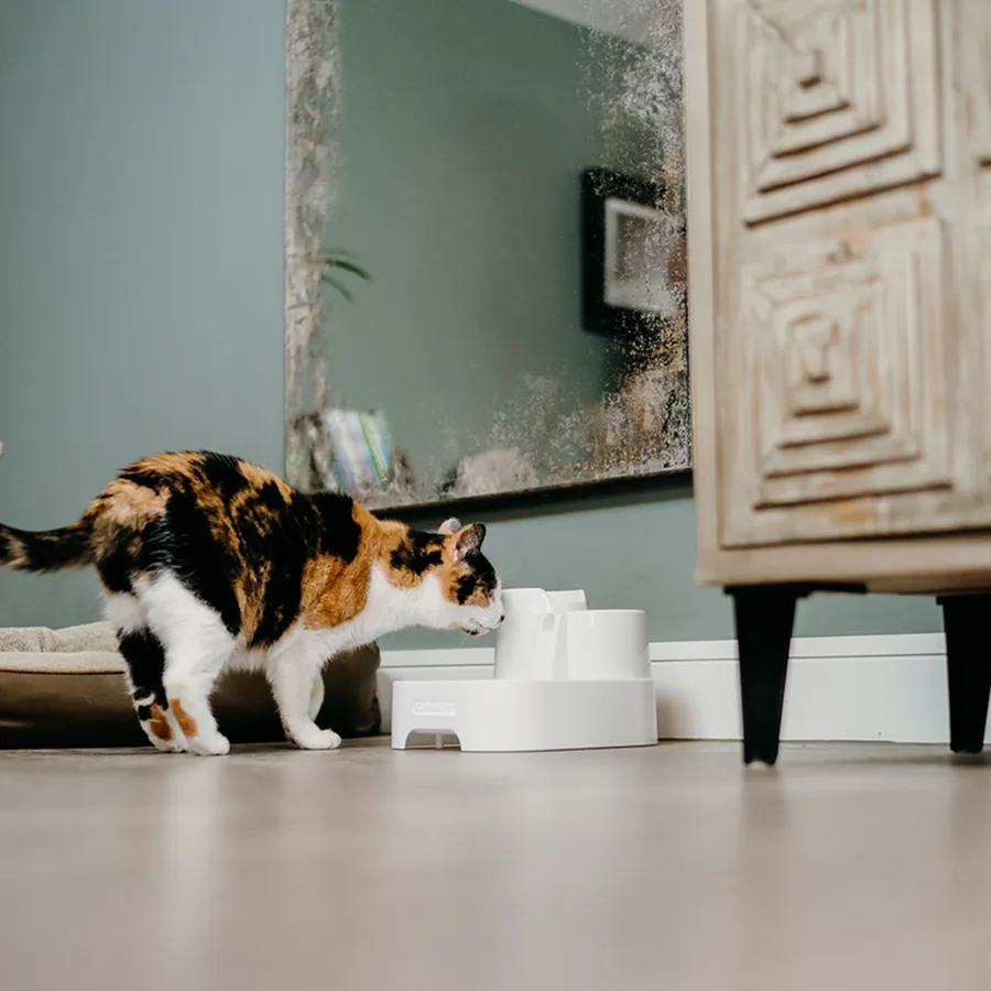 Cat Mate Pet Fountain, photo 3 of 4