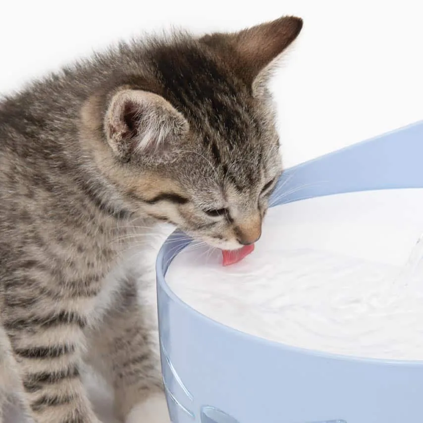 Catit PIXI Drinking Fountain, photo 9 of 11