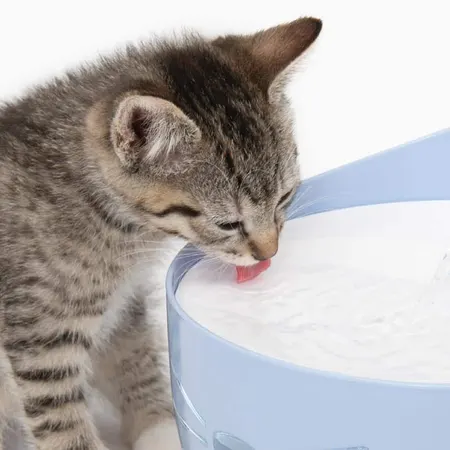 Catit PIXI Drinking Fountain, photo 9 of 11