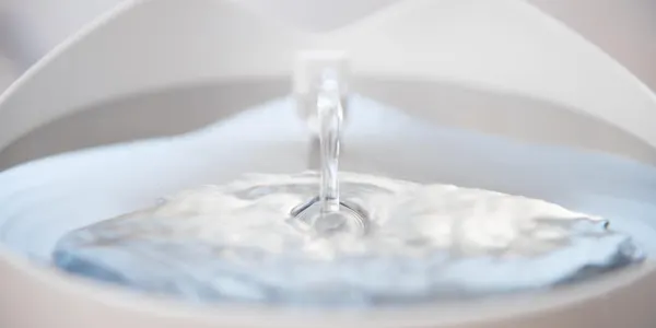 Catit PIXI Smart Drinking Fountain, photo 6 of 9