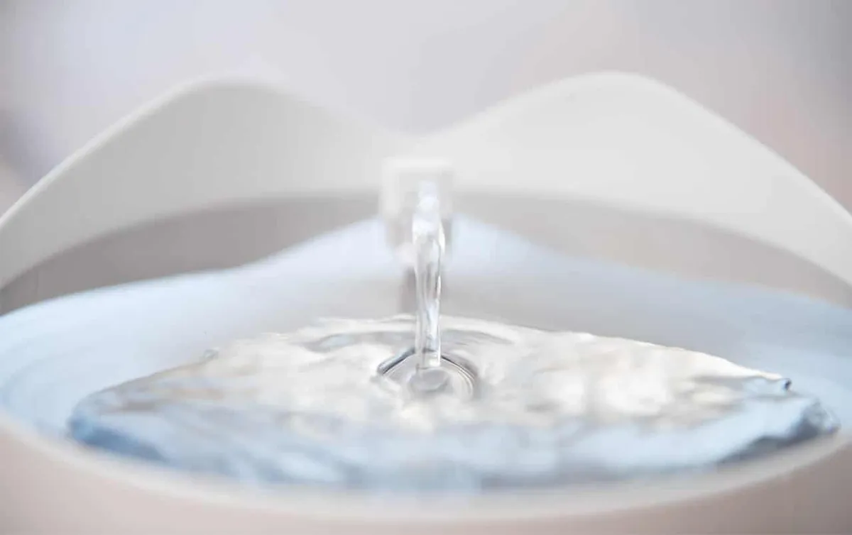 Catit PIXI Smart Drinking Fountain, photo 5 of 9