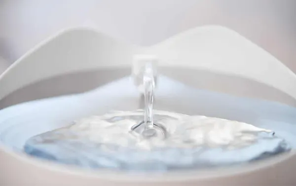 Catit PIXI Smart Drinking Fountain, photo 5 of 9