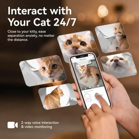 Image: CATLINK CATLINK AI 5GHz Camera Cat Litter Box - Scooper Pro Ultra, photo 5 of 11