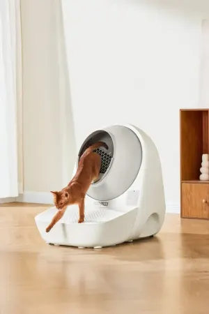 Image: CATLINK CATLINK AI 5GHz Camera Cat Litter Box - Scooper Pro Ultra, photo 9 of 11
