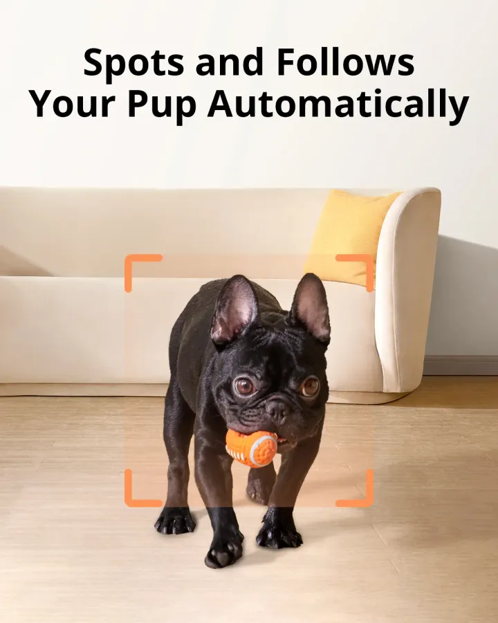 eufy Pet Dog Camera D605, photo 3 of 4
