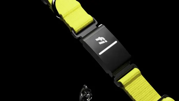 Image: Fi (Barking Labs Corp.) Fi Series 3+, photo 2 of 7