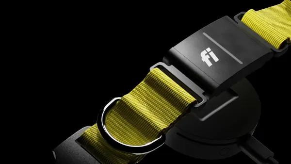 Image: Fi (Barking Labs Corp.) Fi Series 3+, photo 3 of 7