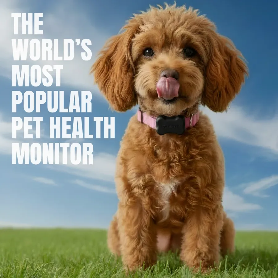 FitBark 2 Pet Health Monitor, photo 5 of 9