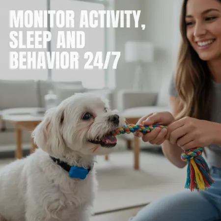 Image: FitBark FitBark 2 Pet Health Monitor, photo 7 of 9