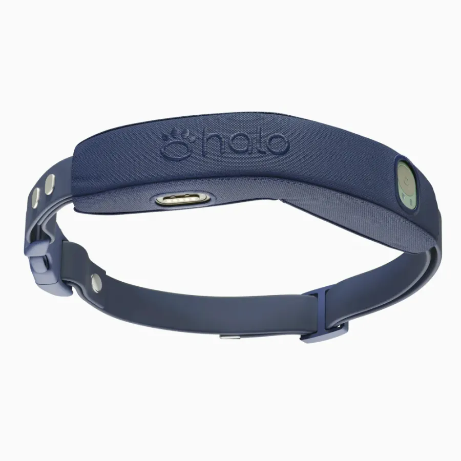 Halo Collar 4, photo 5 of 6