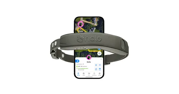 Image: Halo Collar (Protect Animals With Satellites, LLC) Halo Collar 4, photo 6 of 6