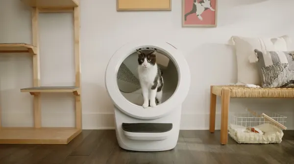 Litter-Robot 4 self-cleaning litter box, front view, photo 4 of 4