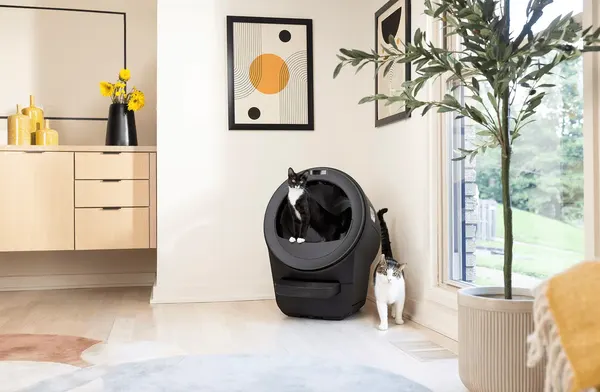 Litter-Robot 5 Pro self-cleaning litter box, front view, photo 7 of 7