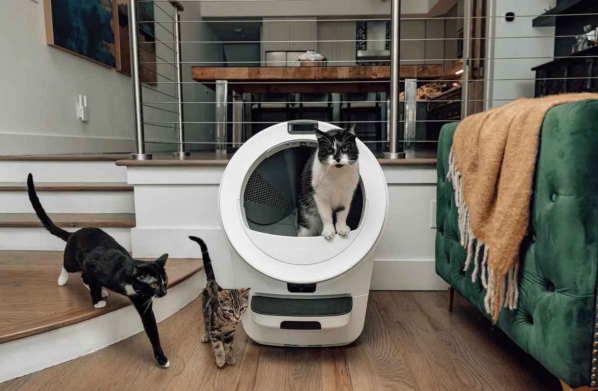 Litter-Robot 5 Pro self-cleaning litter box, front view, photo 4 of 7