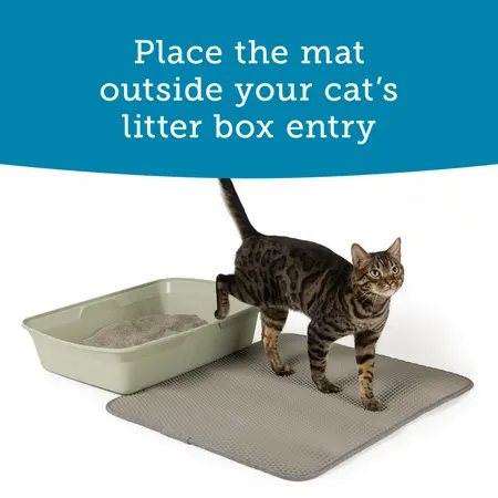 Image: ExquisiCat ExquisiCat® Pocketed 2-Layer Cat Litter Trapping Mat, photo 4 of 4