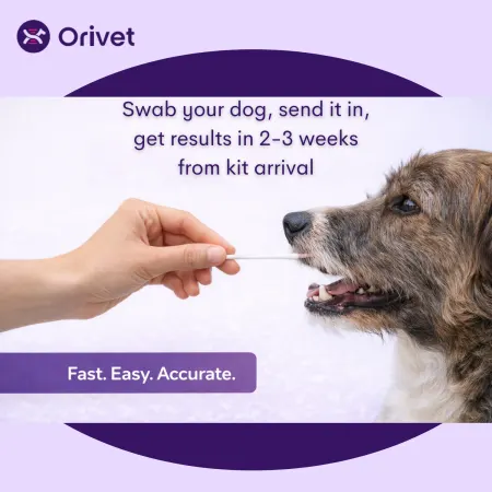 Orivet Geno Pet Dog Breed Identification Test Kit, photo 2 of 3
