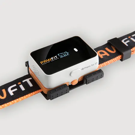 Image: Pawfit (Latsen Technology Ltd.) Pawfit 3 GPS Dog Tracker, photo 3 of 10