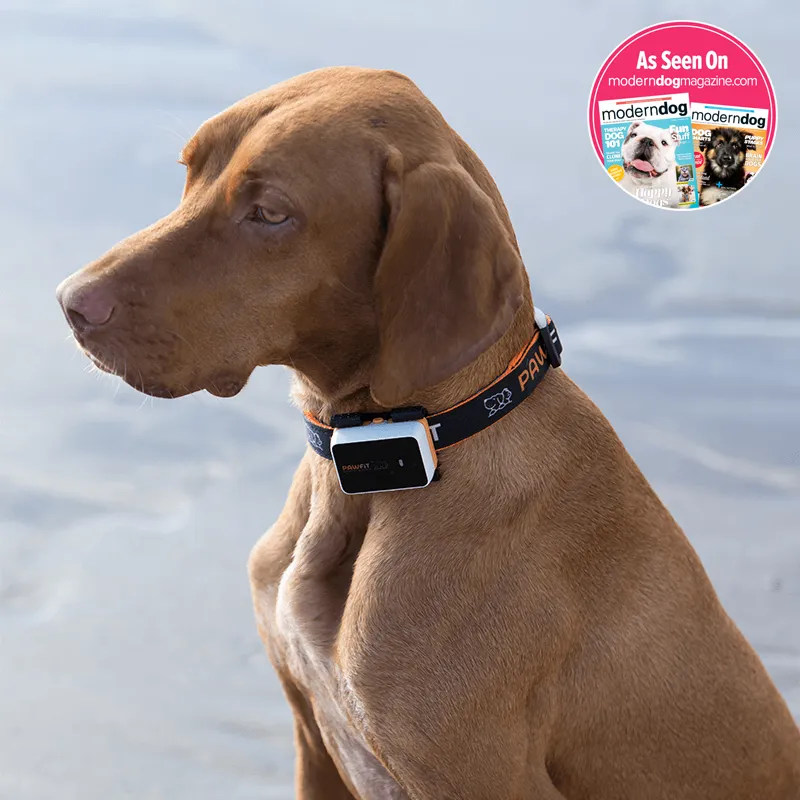 Pawfit 3 GPS Dog Tracker, photo 7 of 10