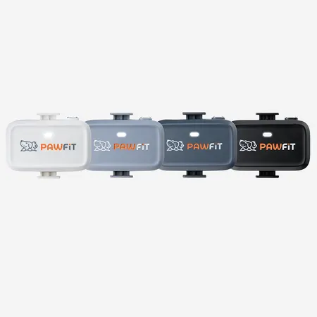 Pawfit Lite GPS tracker for cats, photo 2 of 7