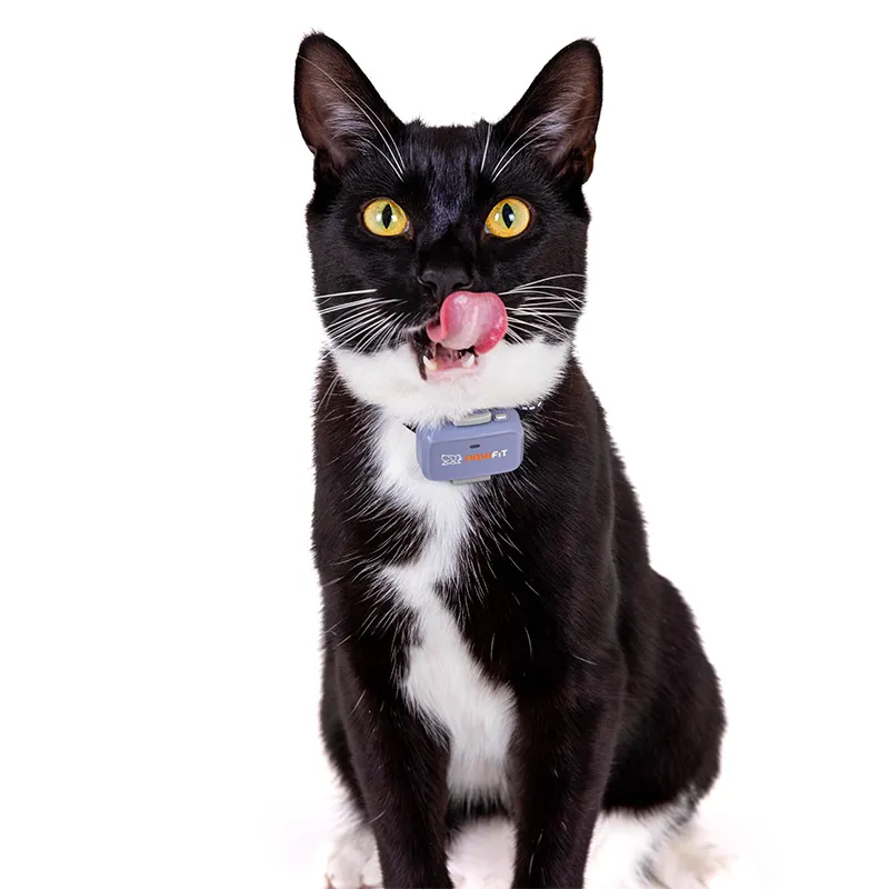 Pawfit Lite GPS tracker for cats, photo 3 of 7