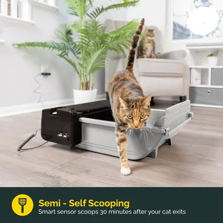 Image: Pet Zone Pet Zone Smart Scoop Semi Automatic Self Cleaning Cat Litter Box, photo 3 of 6
