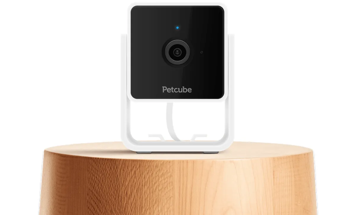 Petcube Cam, photo 2 of 3