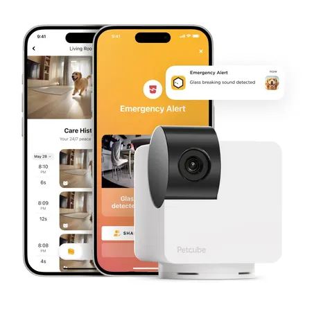 Image: Petcube Petcube Cam 360, photo 2 of 4