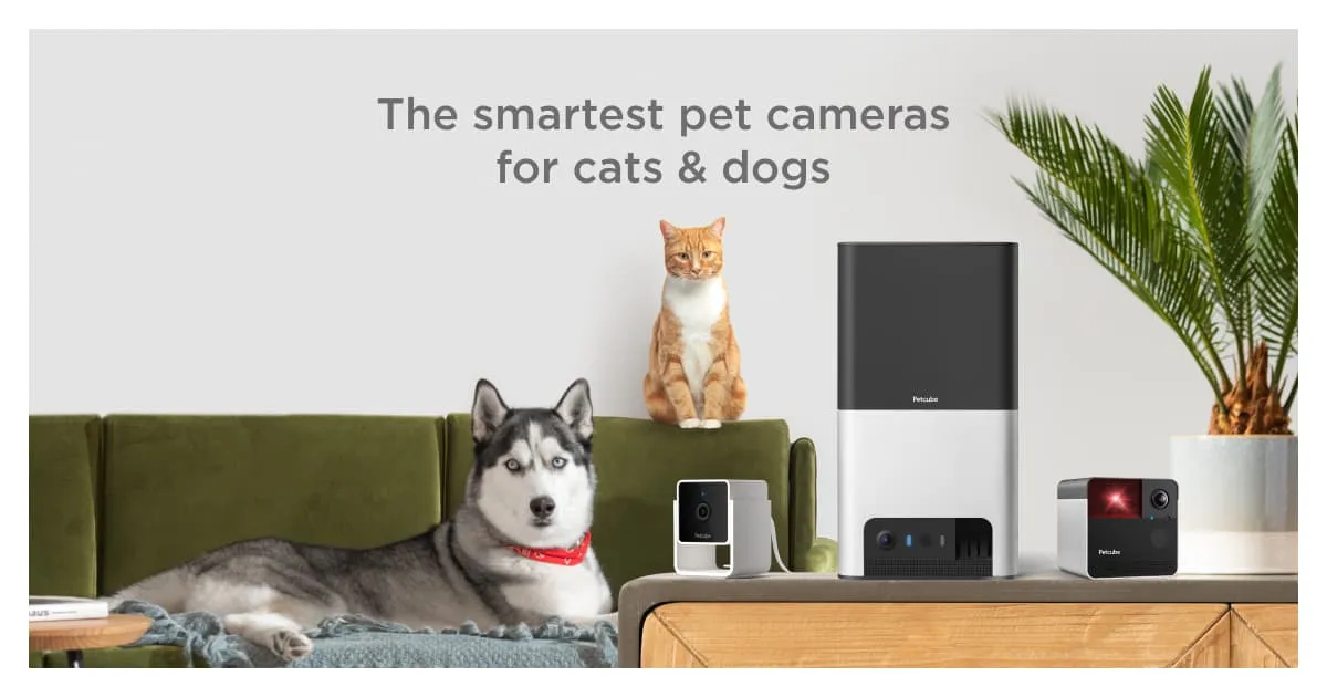 Petcube Cam, photo 3 of 3