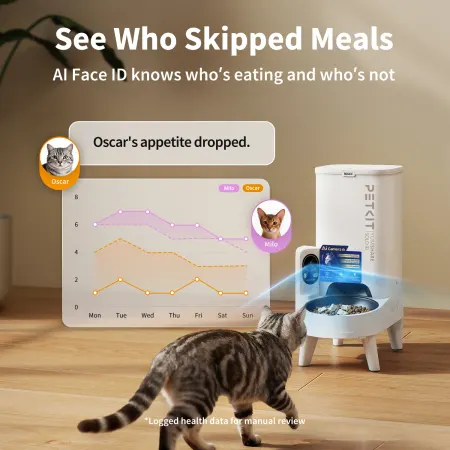 Image: PETKIT PETKIT YumShare Solo 2 with Camera Smart Pet Feeder, photo 2 of 4