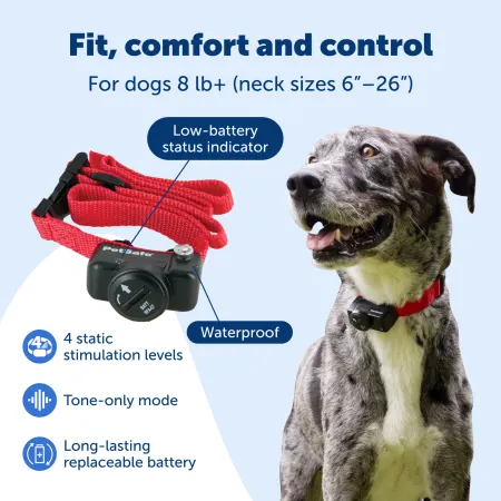 Image: PetSafe PetSafe Basic In-Ground Fence™ System, photo 4 of 4