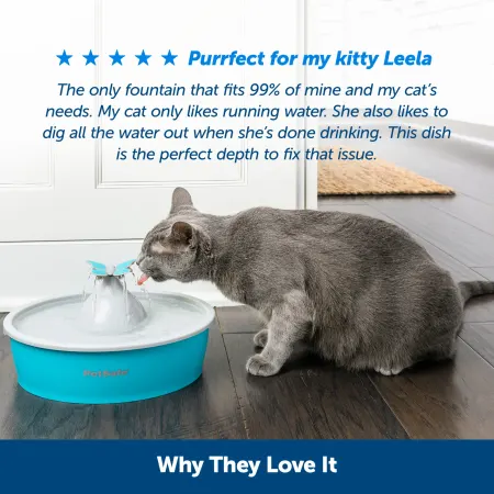 PetSafe Drinkwell® Butterfly Pet Fountain, photo 4 of 4