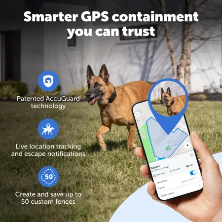 PetSafe Guardian® GPS 2.0 Dog Fence + Tracking, photo 3 of 4