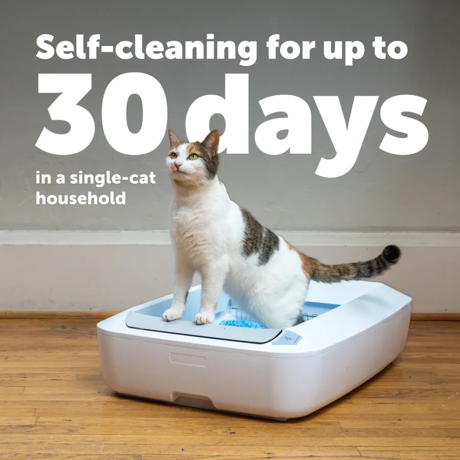 PetSafe ScoopFree Crystal Plus Self-Cleaning Litter Box (uncovered) / ScoopFree Crystal Pro Self-Cleaning Litter Box (hooded) — 2024 generation, photo 2 of 5