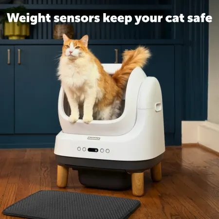 Image: PetSafe PetSafe ScoopFree OpenSky Self-Cleaning Litter Box, photo 3 of 5