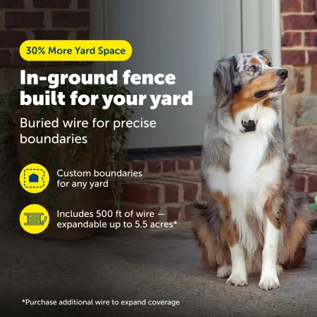 Image: PetSafe PetSafe YardMax® Rechargeable In-Ground Fence™, photo 2 of 4