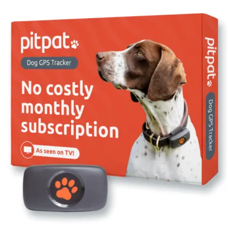 Image: PitPat (Pitpatpet Ltd) PitPat Dog GPS Tracker, photo 2 of 7