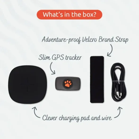 PitPat Dog GPS Tracker, photo 4 of 7