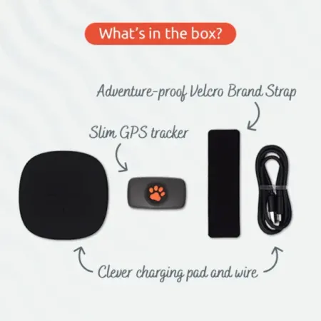 Image: PitPat (Pitpatpet Ltd) PitPat Dog GPS Tracker, photo 4 of 7