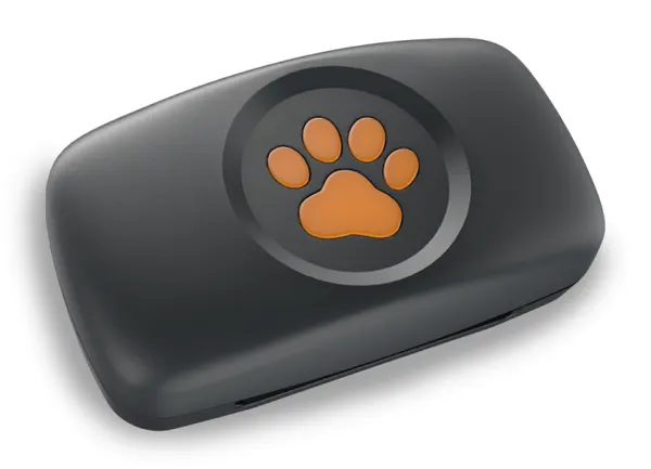 Image: PitPat (Pitpatpet Ltd) PitPat Dog GPS Tracker, photo 7 of 7