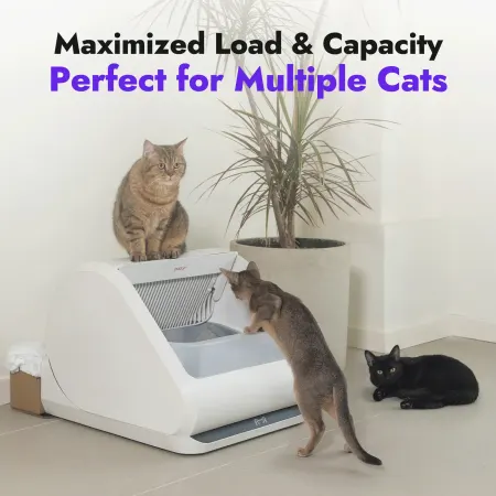 Popur X5 Self-Cleaning Litter Box, photo 3 of 4