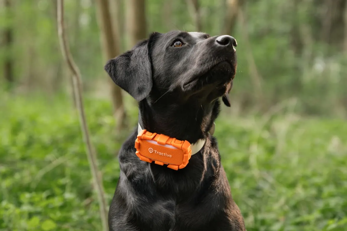 Tractive DOG 6, photo 5 of 5