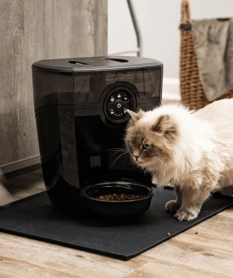 Whisker Feeder-Robot automatic pet feeder, black base with smoke hopper, front view, photo 6 of 8