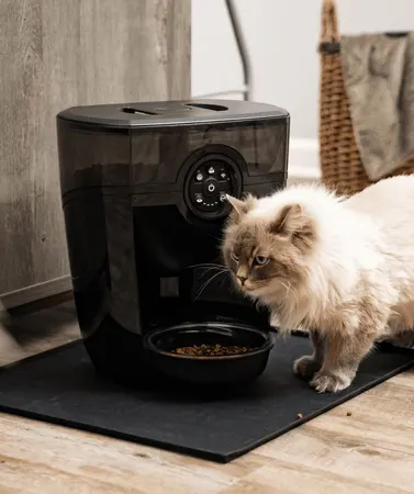 Image: Whisker Whisker Feeder-Robot automatic pet feeder, black base with smoke hopper, front view, photo 6 of 8
