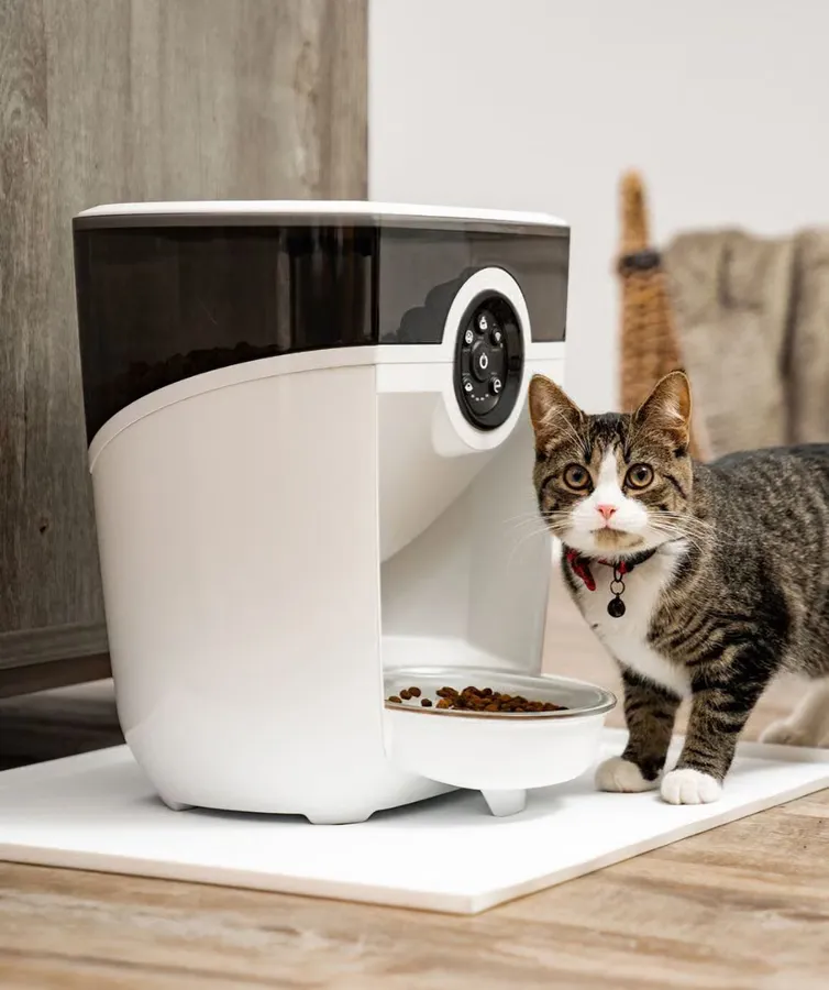 Whisker Feeder-Robot automatic pet feeder, black base with smoke hopper, front view, photo 8 of 8