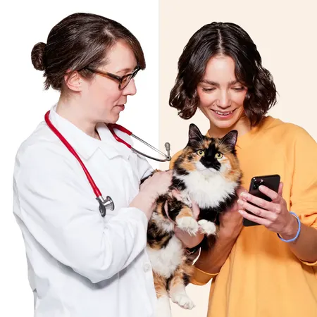 Wisdom Panel™ Complete for Cats, photo 6 of 6
