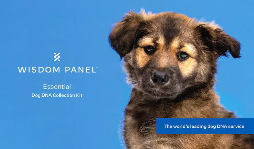 Wisdom Panel™ Essential, photo 6 of 8